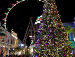 Guests are invited to enjoy an array of activities at The LINQ.