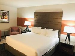 The renovation transformed more than 120 guest rooms on the top floors of the Plaza’s North Tower.