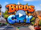 Birds in the City