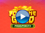 Fortune Gold Prosperity